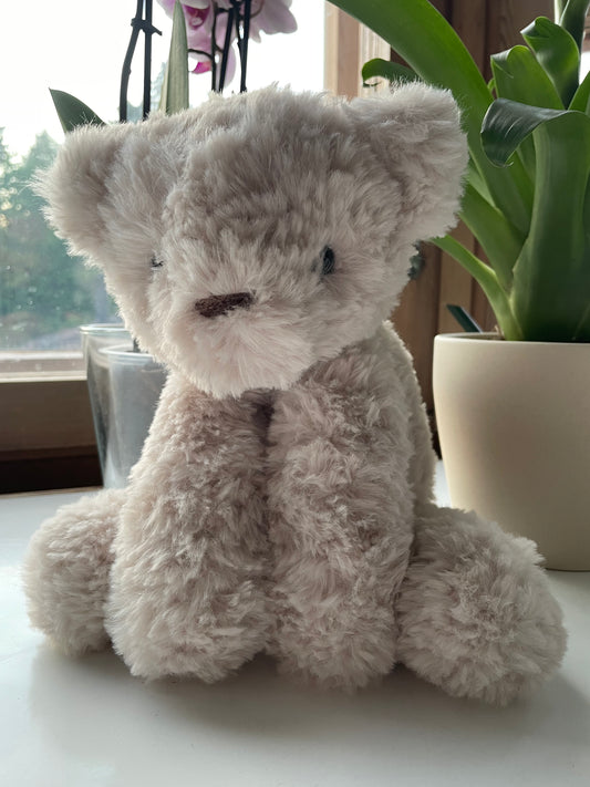 Teddy bear