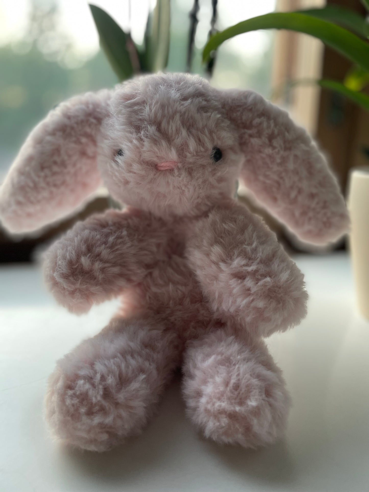 Bunny
