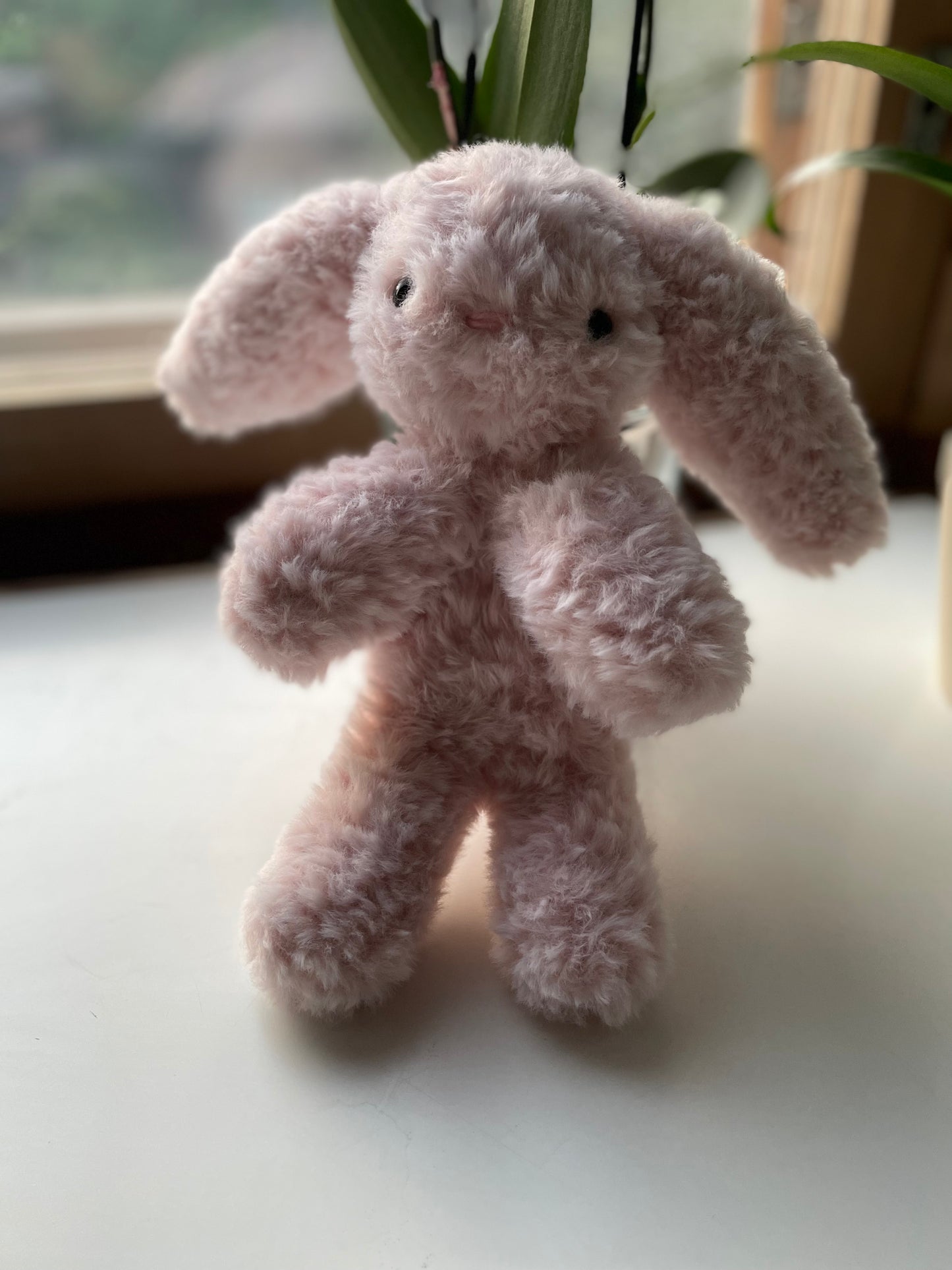 Bunny